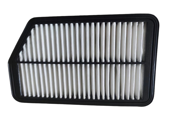 ডিজেল ইঞ্জিন 28113-2S000 28113-3X000 এর জন্য পিপি কালো গাড়ির এয়ার ফিল্টার