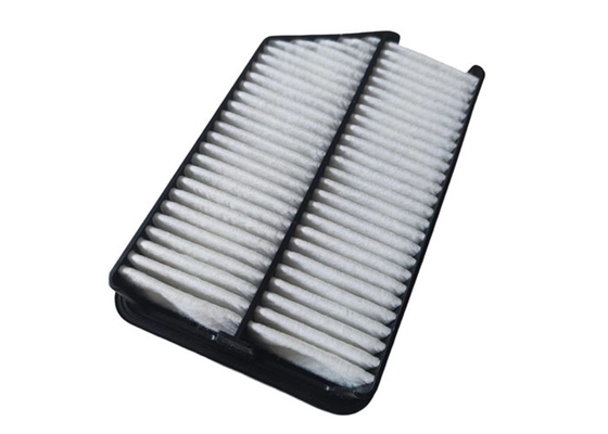 ডিজেল ইঞ্জিন 28113-2S000 28113-3X000 এর জন্য পিপি কালো গাড়ির এয়ার ফিল্টার